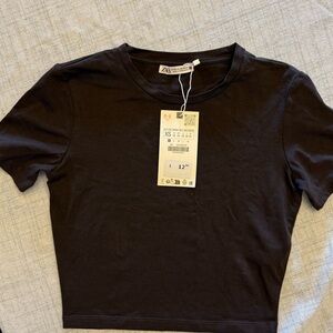 ZARA Brown/Black Cropped Tee – Size XS – NWT